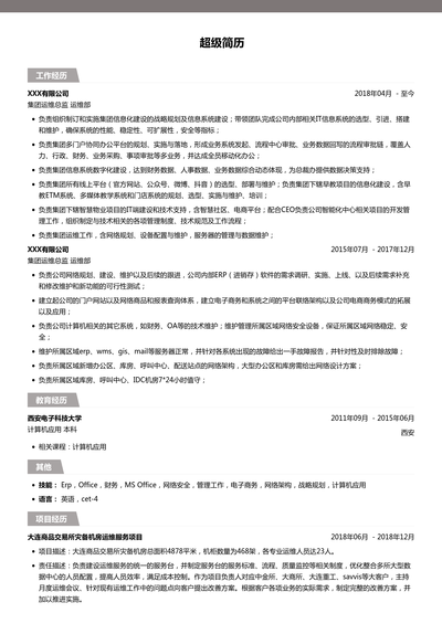 集团运维总监简历模板