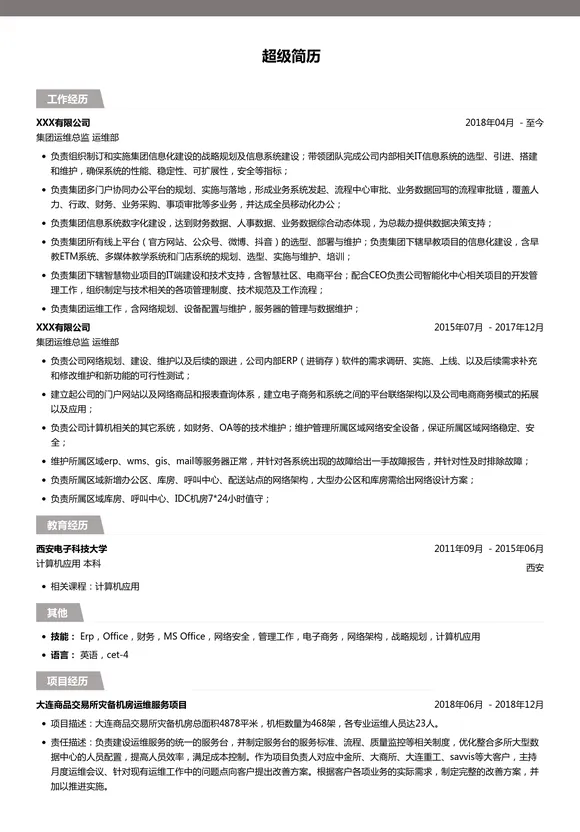 集团运维总监简历模板