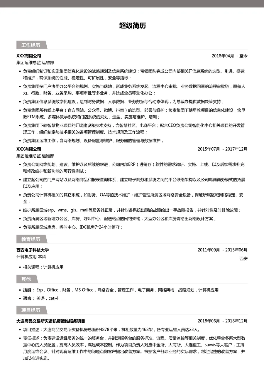 集团运维总监简历模板